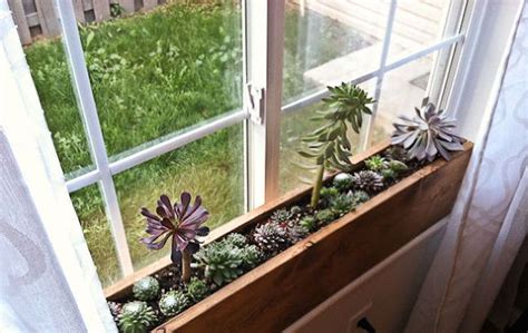 inside window planter boxes ideas